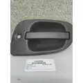 FREIGHTLINER CASCADIA 113 DOOR HANDLE thumbnail 1