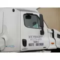 FREIGHTLINER CASCADIA 113 Door Assembly, Front thumbnail 2