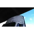 FREIGHTLINER CASCADIA 113 FAIRING, WIND DEFLECTOR ROOF thumbnail 2