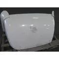 FREIGHTLINER CASCADIA 113 FAIRING, WIND DEFLECTOR ROOF thumbnail 7