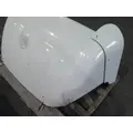 FREIGHTLINER CASCADIA 113 FAIRING, WIND DEFLECTOR ROOF thumbnail 8