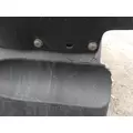 FREIGHTLINER CASCADIA 113 FENDER, QUARTERHALF REAR thumbnail 2