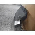 FREIGHTLINER CASCADIA 113 FENDER, QUARTERHALF REAR thumbnail 3