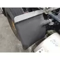 FREIGHTLINER CASCADIA 113 FENDER, QUARTERHALF REAR thumbnail 1