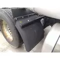 FREIGHTLINER CASCADIA 113 FENDER, QUARTERHALF REAR thumbnail 1