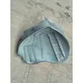 FREIGHTLINER CASCADIA 113 FENDER, SPLASH SHIELDGUARD thumbnail 1
