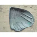 FREIGHTLINER CASCADIA 113 FENDER, SPLASH SHIELDGUARD thumbnail 2