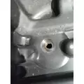 FREIGHTLINER CASCADIA 113 FENDER, SPLASH SHIELDGUARD thumbnail 2