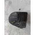 FREIGHTLINER CASCADIA 113 FENDER, SPLASH SHIELDGUARD thumbnail 3