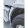FREIGHTLINER CASCADIA 113 FENDER EXTENSION thumbnail 2