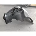 FREIGHTLINER CASCADIA 113 FENDER EXTENSION thumbnail 6