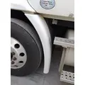 FREIGHTLINER CASCADIA 113 FENDER EXTENSION thumbnail 1