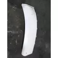 FREIGHTLINER CASCADIA 113 FENDER EXTENSION thumbnail 3
