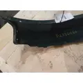 FREIGHTLINER CASCADIA 113 FENDER EXTENSION thumbnail 2
