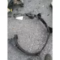 FREIGHTLINER CASCADIA 113 FUEL TANK STRAP thumbnail 3