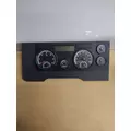 FREIGHTLINER CASCADIA 113 GAUGE CLUSTER thumbnail 1