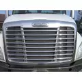 FREIGHTLINER CASCADIA 113 GRILLE thumbnail 1