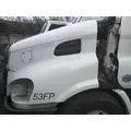 FREIGHTLINER CASCADIA 113 HOOD thumbnail 1
