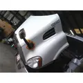 FREIGHTLINER CASCADIA 113 HOOD thumbnail 2