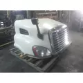 FREIGHTLINER CASCADIA 113 HOOD thumbnail 8