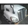 FREIGHTLINER CASCADIA 113 HOOD thumbnail 5