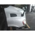 FREIGHTLINER CASCADIA 113 HOOD thumbnail 6