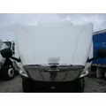 FREIGHTLINER CASCADIA 113 HOOD thumbnail 8