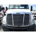 FREIGHTLINER CASCADIA 113 HOOD thumbnail 1
