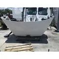 FREIGHTLINER CASCADIA 113 HOOD thumbnail 7