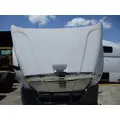 FREIGHTLINER CASCADIA 113 HOOD thumbnail 4