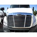 FREIGHTLINER CASCADIA 113 HOOD thumbnail 1