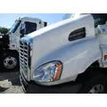 FREIGHTLINER CASCADIA 113 HOOD thumbnail 2