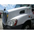 FREIGHTLINER CASCADIA 113 HOOD thumbnail 2