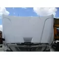 FREIGHTLINER CASCADIA 113 HOOD thumbnail 5