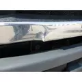 FREIGHTLINER CASCADIA 113 HOOD thumbnail 2