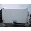 FREIGHTLINER CASCADIA 113 HOOD thumbnail 6