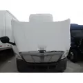 FREIGHTLINER CASCADIA 113 HOOD thumbnail 4