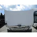 FREIGHTLINER CASCADIA 113 HOOD thumbnail 4