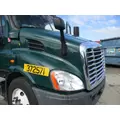 FREIGHTLINER CASCADIA 113 HOOD thumbnail 3