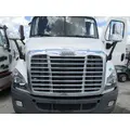 FREIGHTLINER CASCADIA 113 HOOD thumbnail 1
