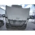 FREIGHTLINER CASCADIA 113 HOOD thumbnail 6