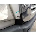 FREIGHTLINER CASCADIA 113 HOOD thumbnail 4