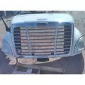 FREIGHTLINER CASCADIA 113 HOOD thumbnail 5