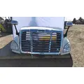 FREIGHTLINER CASCADIA 113 HOOD thumbnail 1