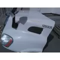 FREIGHTLINER CASCADIA 113 HOOD thumbnail 3