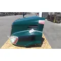 FREIGHTLINER CASCADIA 113 HOOD thumbnail 4