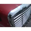 FREIGHTLINER CASCADIA 113 HOOD thumbnail 10