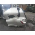 FREIGHTLINER CASCADIA 113 HOOD thumbnail 10