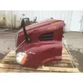 FREIGHTLINER CASCADIA 113 HOOD thumbnail 14
