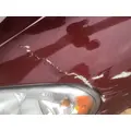 FREIGHTLINER CASCADIA 113 HOOD thumbnail 15